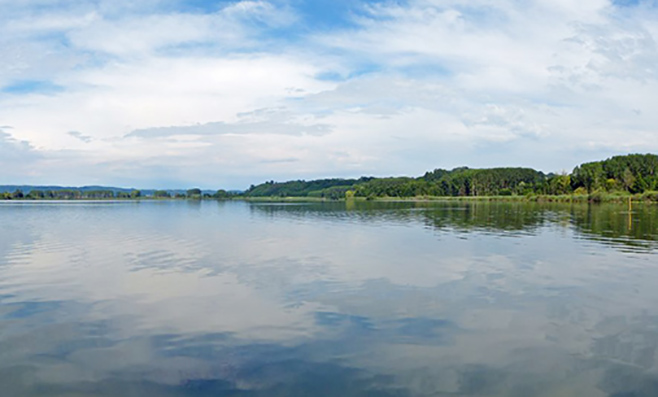 Candia, il lago ospita il Festival nazionale dei Giovani di Canottaggio