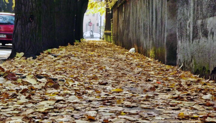 Castellamonte, pedoni in pericolo per la presenza del tappeto di foglie su marciapiedi e strade