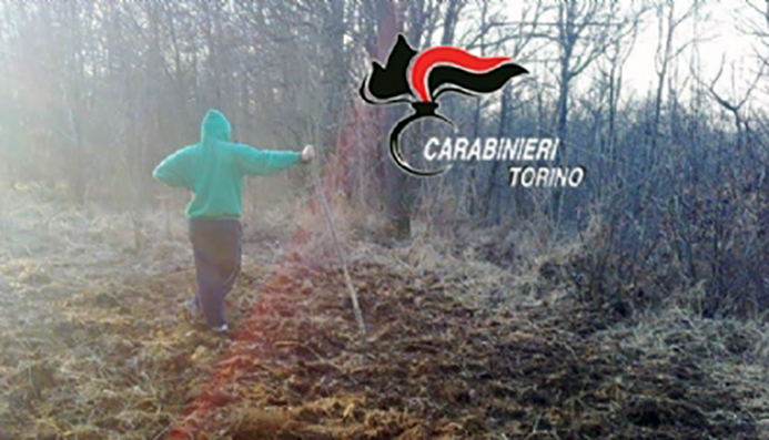 Rivarossa, scoperta piantagione di marijuana in un campo. In manette uno studente