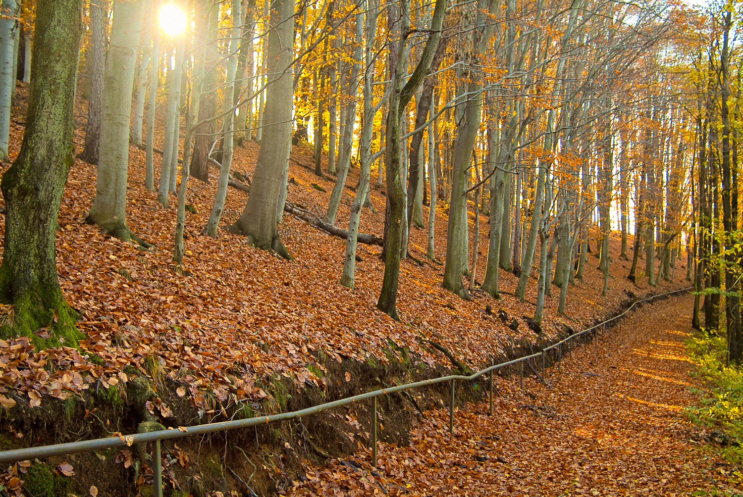 Il “magico” Bric Filia nelle splendide immagini del fotografo Luca Chiartano
