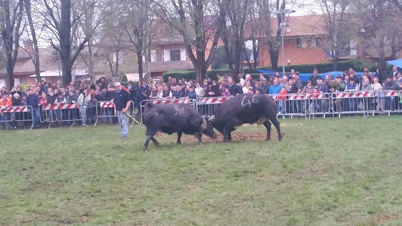 Favria, rinviato per la pioggia alla prossima domenica 9 aprile l’atteso “Incontro tra Reines”