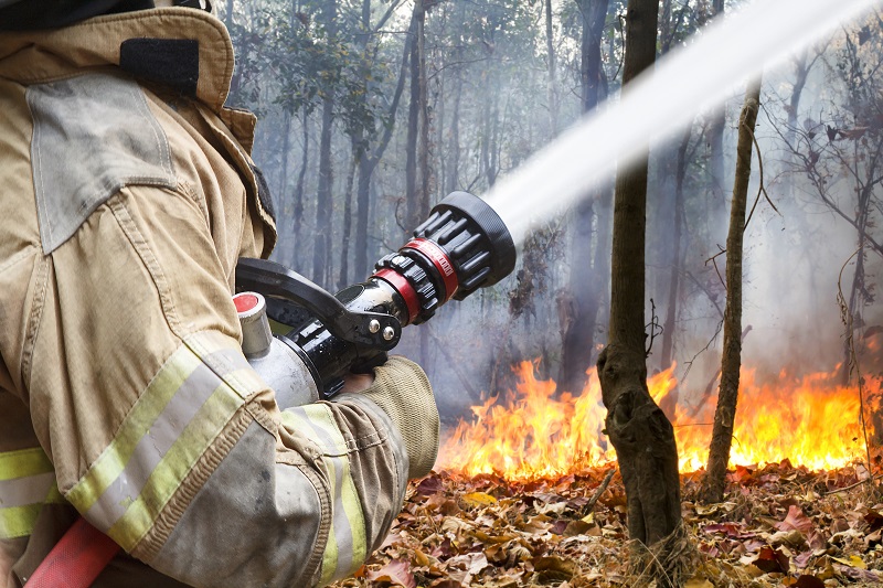 Valchiusella ancora in fiamme: bruciano i boschi al di sopra di Vico. Piromani all’opera?