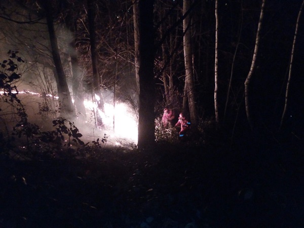 Allarme incendi: i roghi in Valchiusella e in Alto Canavese sono stati finalmente domati