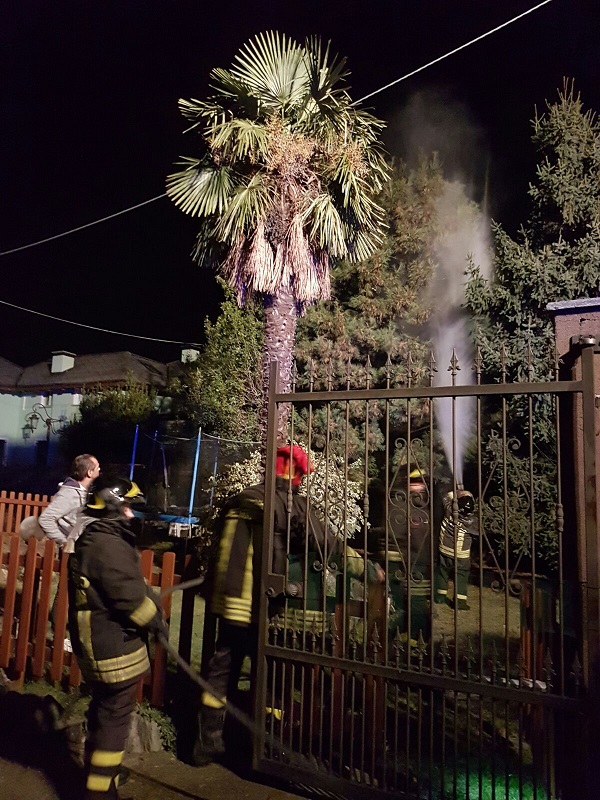 Rivarolo, lanterna volante appicca il fuoco a un albero. Primo intervento dei Vigili del fuoco