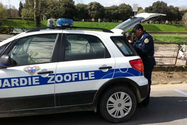 Caluso, nella “cascina degli orrori” i cavalli venivano maltrattati. Blitz delle guardie zoofile