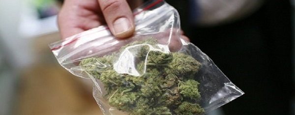 Montanaro: studente aveva in casa 86 grammi di marijuana pronta per lo spaccio. Arrestato