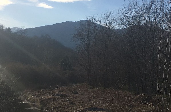 Cuorgnè, lavori di pulizia nei tratti critici dei torrente Gallenca per evitare esondazioni