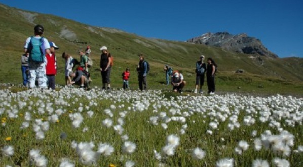 Canavese: Parco del Gran Paradiso, al via le candidature per i Campi Estivi di volontariato 2025