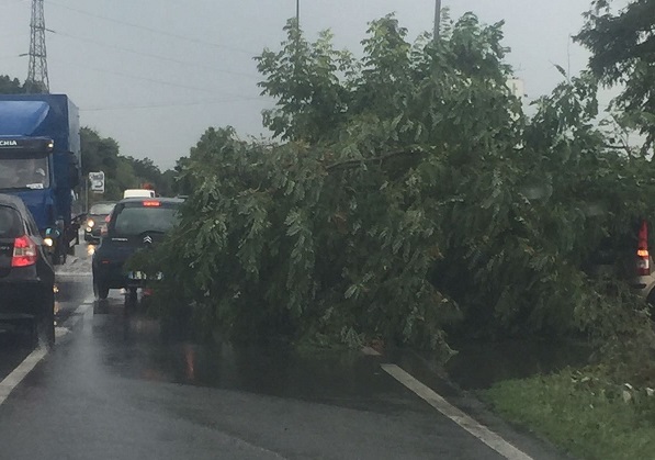 Previsioni meteo: allerta dell’Arpa per il maltempo. Possibili smottamenti e caduta di alberi
