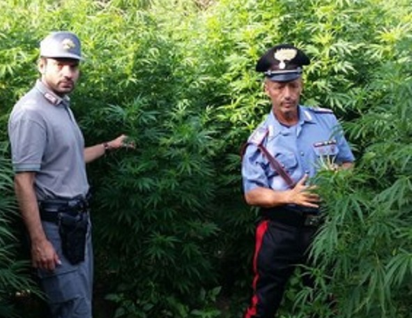 Ciriacese: troppi operai arrestati per spaccio. Azienda costretta a rivedere turni di lavoro