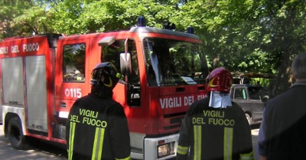 Cernesio di Ceres, autista di pullman va a fare legna nel bosco e muore travolto da un albero