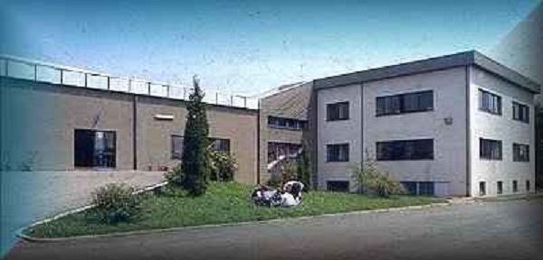 Castellamonte: nuovo look per la media “Cresto”. Aule decorate e area verde per rendere più bella la scuola