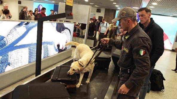 Maxi-sequestro di cocaina all’aeroporto di Caselle: arrestata una donna con 16 kg di droga in valigia