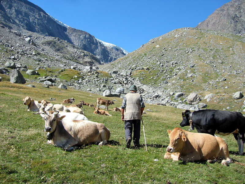 L’Uncem piemontese scrive al premier Conte: “Il governo non dimentichi lo sviluppo della montagna”