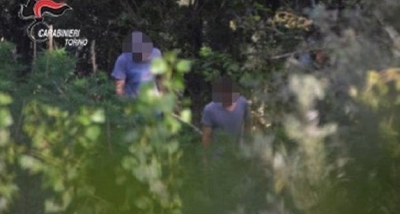 Chivassese: un isolotto nel Po trasformato in una piantagione di marijuana. In manette due albanesi