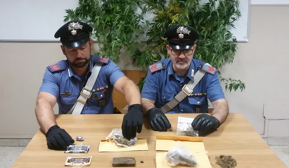 Castellamonte: coltivava marijuana in un terreno agricolo in frazione Spineto. Arrestato 35enne