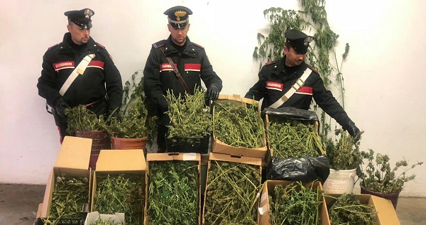 Rueglio: i carabinieri scoprono un laboratorio per la produzione di droga. In carcere un 42enne