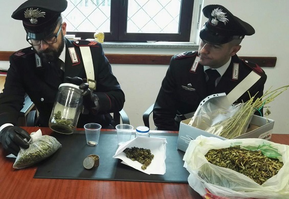 Castellamonte: in casa nascondeva 240 grammi di marijuana. I carabinieri denunciano un 34enne