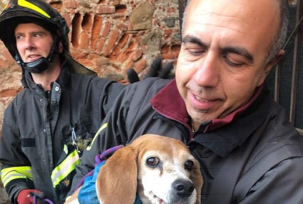 Agliè: cane precipita in un tombino. Salvato dal tempestivo intervento dei vigili del fuoco