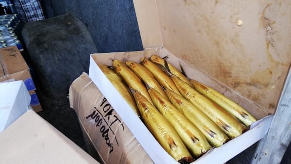 Alimenti mal conservati, alcolici e farmaci abusivi sul furgone: a Venaria denunciate tre persone