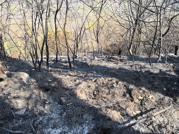 Canavese, incendio ai Monti Pelati: otto ettari in fumo. Operaio segnalato alla Procura di Ivrea