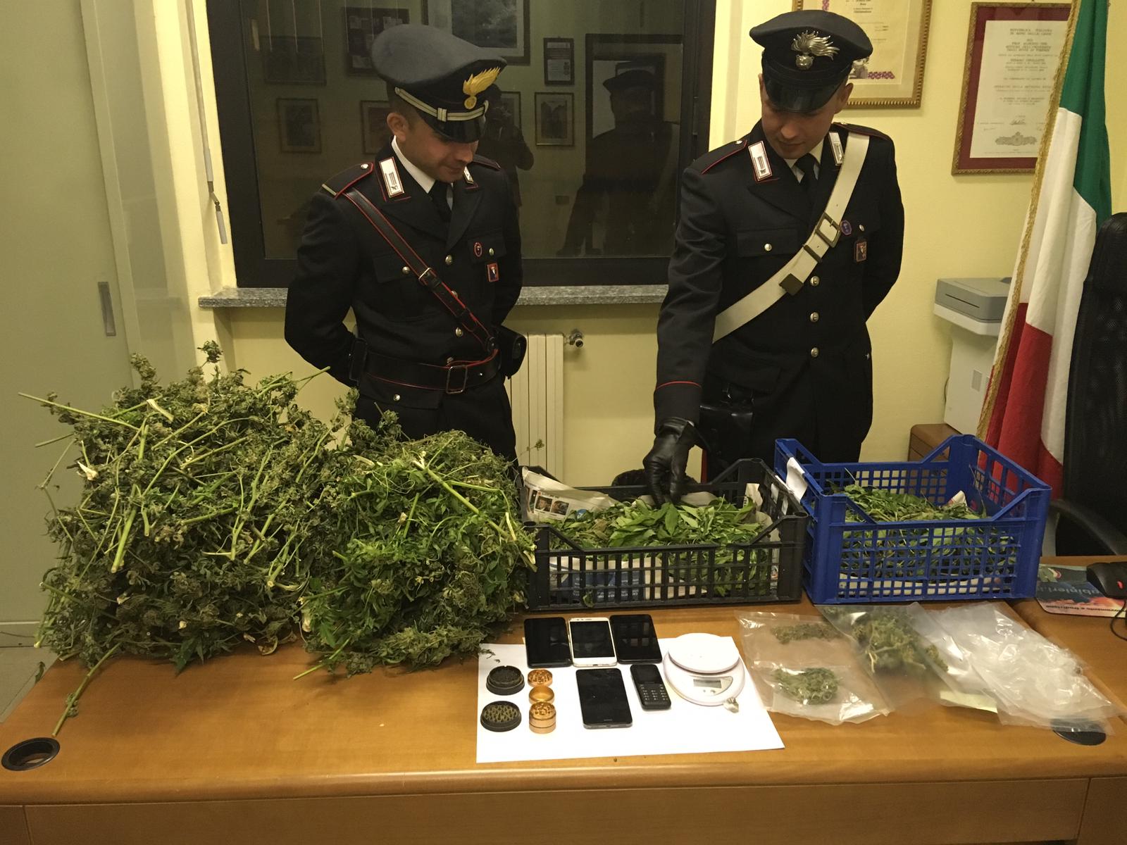 Pont Canavese: coltivava piantagione di marijuana in casa. Arrestata un’intera famiglia