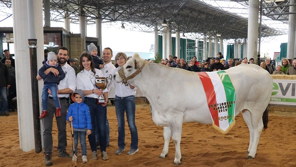 Rivarolo: la mucca “Vanessa” si aggiudica il titolo di campionessa alla Mostra nazionale bovina