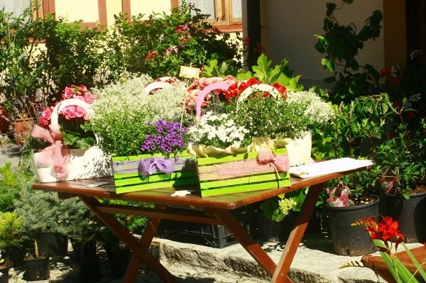 A Gressoney-Saint-Jean “Artemisia”, la variopinta e profumata mostra di piante e fiori di montagna