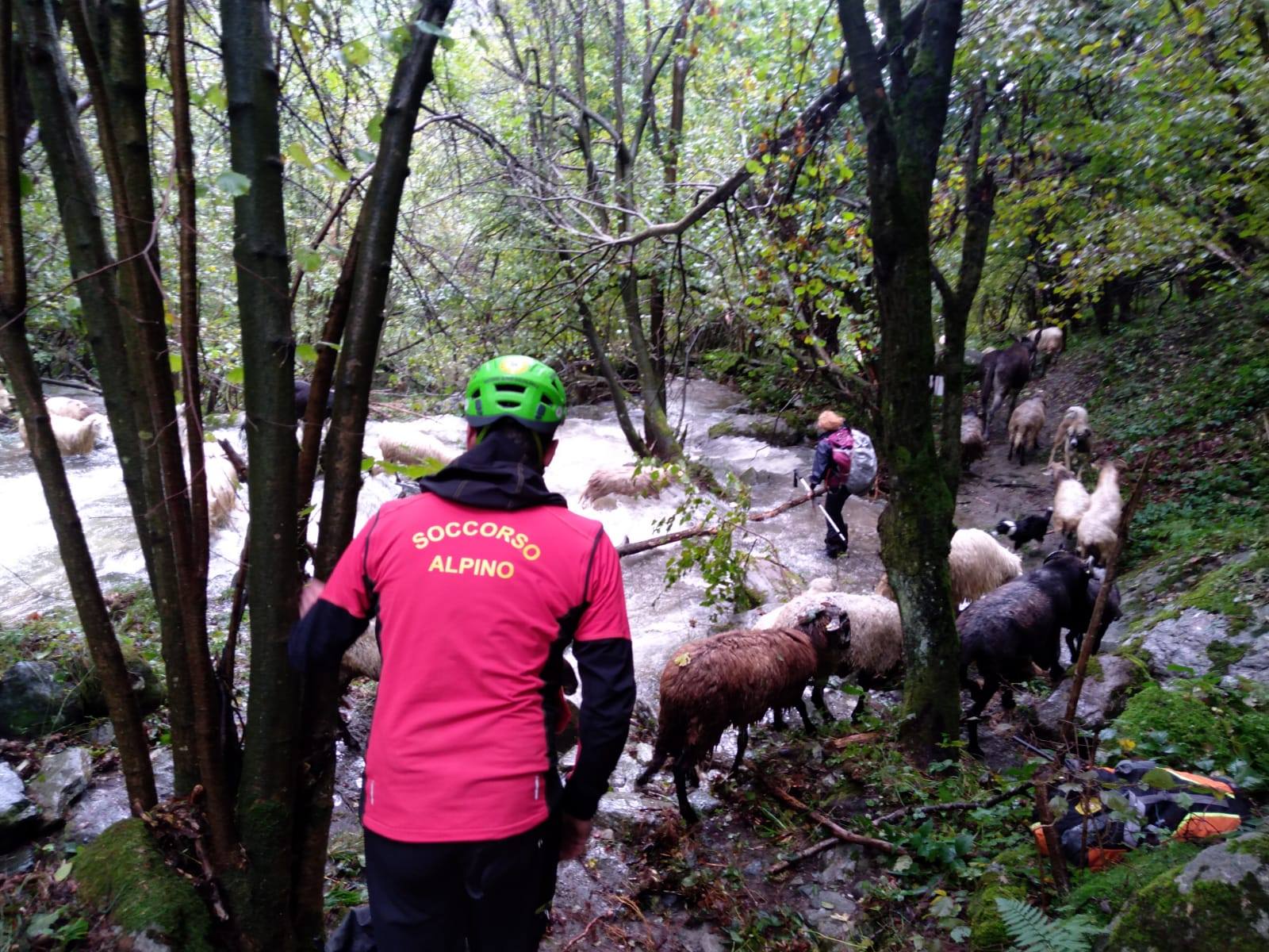 Corio: anziano colto da malore mentre cerca funghi. Dramma nei boschi. Vani i soccorsi