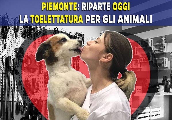 Piemonte, da lunedì 29 sì alla toelettatura degli animali da compagnia. Cirio firma l’ordinanza