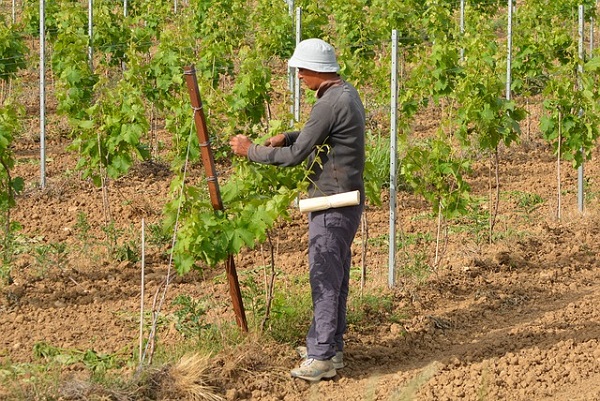 Dalla Regione contributi ai Comuni per le strutture che ospitano lavoratori stagionali nelle aziende agricole