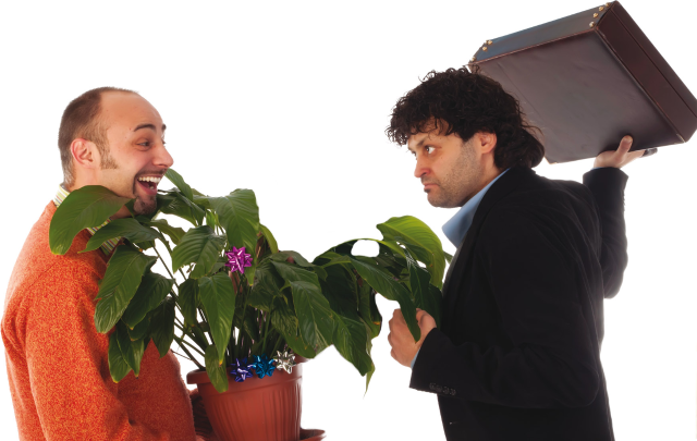 Chivasso: fine anno al Teatrino Civico con Andy & Norman, icona del teatro brillante americano