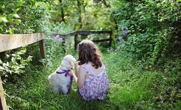 Verolengo: bocconi avvelenati con il topicida nel giardino di casa. E in paese cresce la psicosi