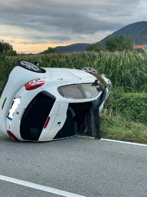 Borgofranco d’Ivrea: automobilista investe famiglia di cinghiali e si ribalta sulla strada