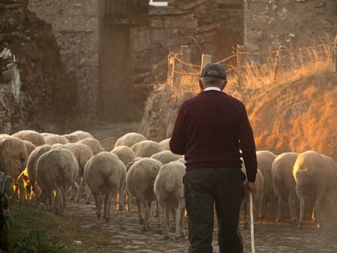 Sostegno economico alla pastorizia per contrastare lo spopolamento delle montagne
