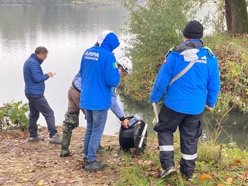 Moria di pesci a Chivasso: la morte non è dovuta all’inquinamento, ma alla mancanza di ossigeno