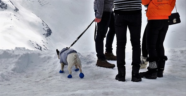 Tutto esaurito negli agriturismi di montagna. La Coldiretti: “20% in più di turisti rispetto al 2021”
