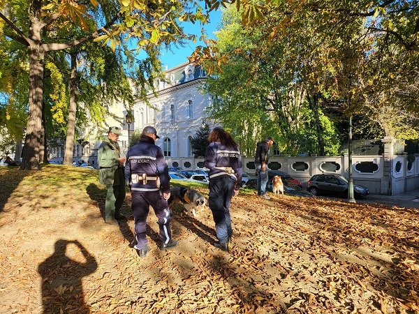 Impegno della Città Metropolitana per contrastare l’abbandono di bocconi avvelenati