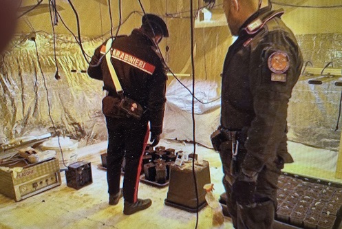 Pratiglione: in un casale abbandonato i carabinieri di Ivrea hanno scoperto una serra di marijuana