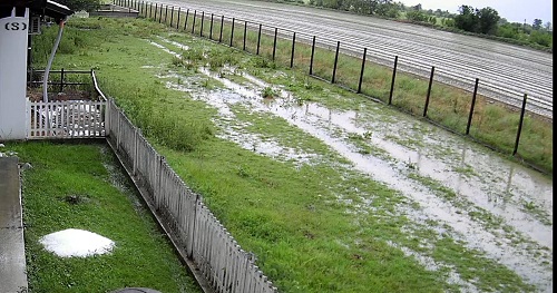 Canavese: allagamenti in campagna per le bombe d’acqua. Compromesso il mais già seminato