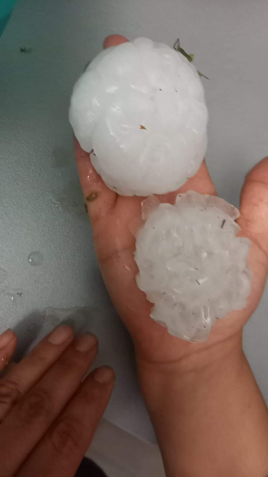 Canavese in ginocchio per la grandine. Chicchi di quasi due etti hanno devastato auto e colture