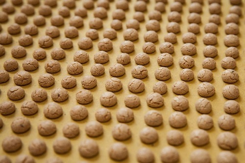 A settembre del 2025 un francobollo celebrativo per i Nocciolini di Chivasso conosciuti in tutto il mondo