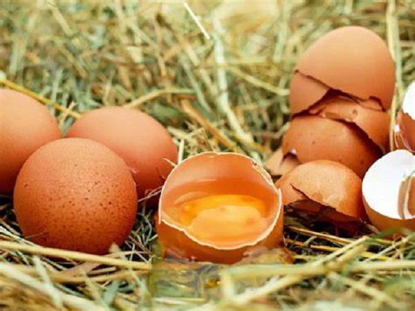 Focolaio di Aviaria a Chivasso: polli e uova non nuocciono alla salute dei consumatori?