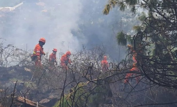 Vasto incendio boschivo in Valchiusella: fiamme sopra Vidracco, ore di lavoro per domare il rogo