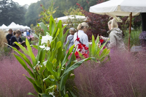 Torna al Castello di Masino la “Tre Giorni per il Giardino”: l’edizione autunnale celebra Tempo e Cura