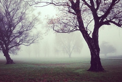 Previsioni meteo di sabato 13 dicembre: bel tempo generalizzato, ma attenzione alle nebbie nel Canavese