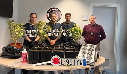 Nole, targhe clonate, guida senza patente e coltivazione di marijuana in casa: denunciato 49enne