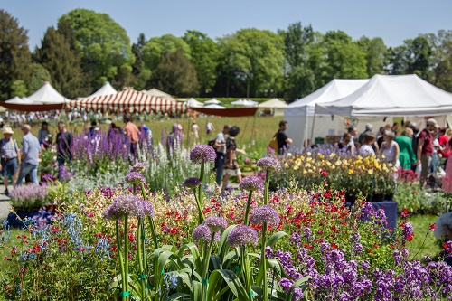 Castello di Masino, torna la Tre Giorni per il Giardino: focus su ambiente e comunità con il tema “Radici”