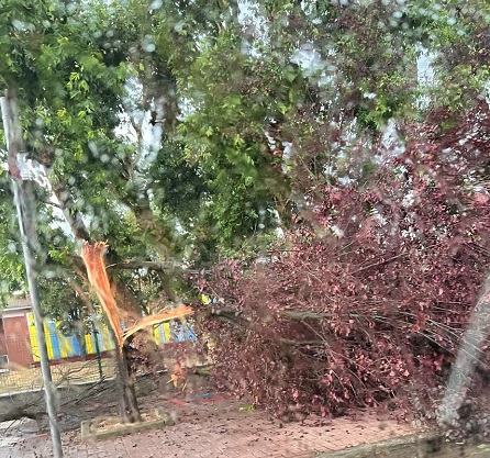 Maltempo sul Basso Canavese: a Brandizzo alberi abbattuti, blackout e stop ai treni sulla Torino-Milano