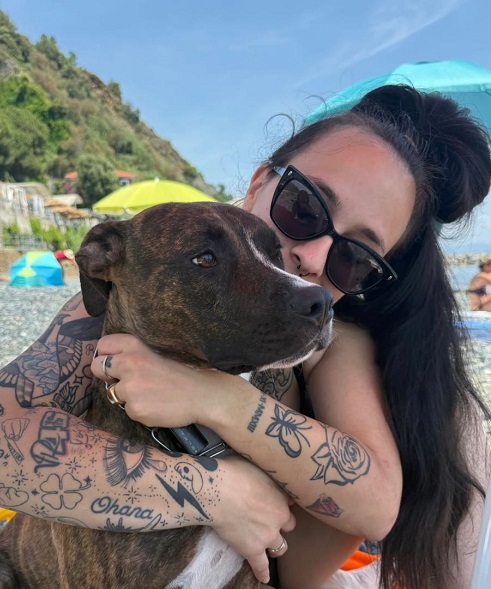 Chivasso, travolta e uccisa a due anni, l’autoveicolo fugge: la padrona di Atena, pitbull tigrata, cerca il responsabile